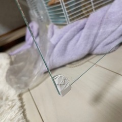 ハムスターケージ　グラスハーモニー360 美品の画像