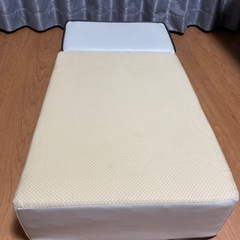ドッグステップの画像