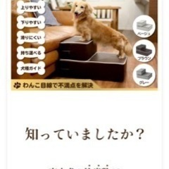 ドッグステップの画像