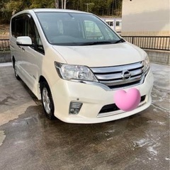 【決まりました】SERENA C26