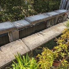 コンクリート　板　無料でお譲りします！なくなり次第終了します！