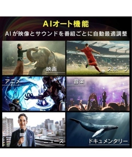 【12月取引】アイリスオーヤマ 55V型 4Kチューナー内蔵 液晶テレビ LUCA 55XUC38VC 2番組同時録画対応