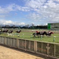 競馬友達募集