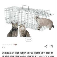 猫捕獲器貸して頂けませんか？
