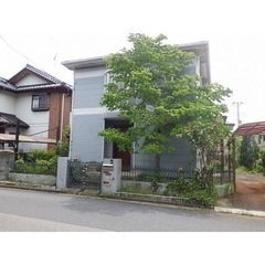 ✅敷礼0！フリーレント1ヶ月！✅　⭐️下総松崎駅『戸建賃貸』⭐️...