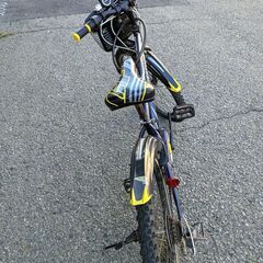 ブリヂストン 子ども用自転車 24インチの画像