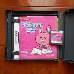 中古　DSソフト　NOVAうさぎのゲームde留学!?DSの画像