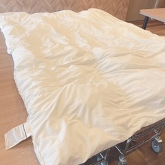 ニトリ　掛け布団✴︎
