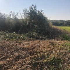 畑の草刈りいたします！知多半島の便利屋　ハートフル
