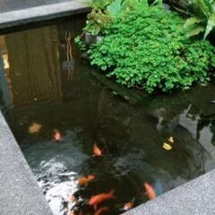 勉強とお茶会