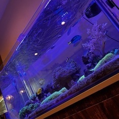 海水魚水槽　一式