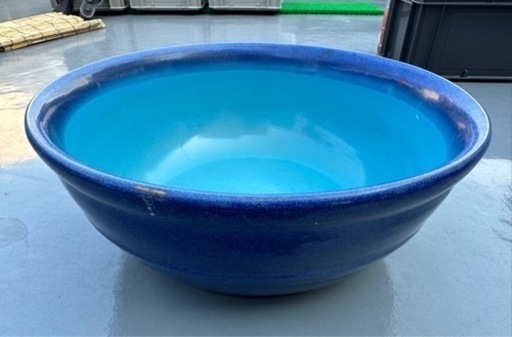 睡蓮鉢 ビオや観賞魚に