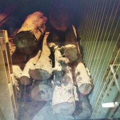 杉の木の丸太　の画像