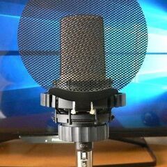 ＊AKG ( アーカーゲー ) / C314 コンデンサーマイク...
