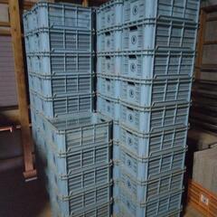 トマト収穫に使用　中古コンテナの画像