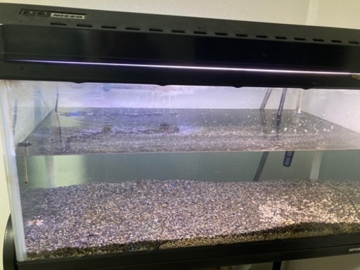 95×45×45水槽  専用ライト付き 外部フィルター