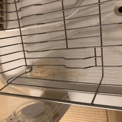 【お譲り先決定】食器乾燥機の画像