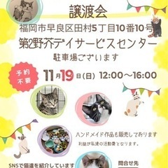 11/19 ねこ組🐾福岡中央譲渡会　第2野芥デイサービスセンター