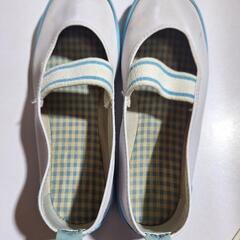 うわばき 20cm の画像