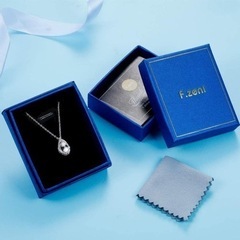 新品⭐️ レディース ネックレス アレルギー対応 シルバー925 シンプル ジュエリーの画像