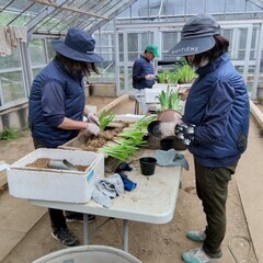 〔A/P〕【未経験OK！】川崎市緑化センター／植物管理スタッフ～花と触れ合う憩いの場を提供するお仕事ですの画像
