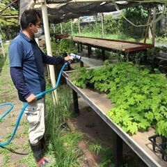 〔A/P〕【未経験OK！】川崎市緑化センター／植物管理スタッフ～花と触れ合う憩いの場を提供するお仕事ですの画像