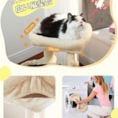 キャットタワーの画像