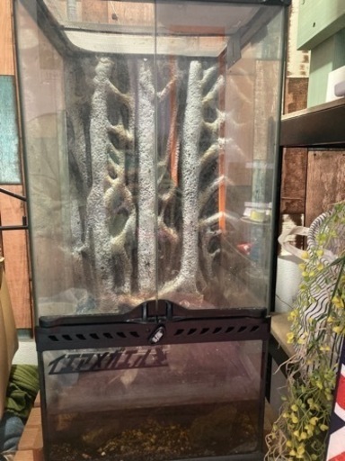 エキゾテラ　300✖️300✖️600H