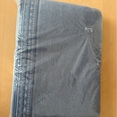 【中古品】ニトリ ラグNクールSPジオi-nNV