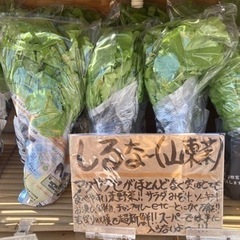しるなー　山東菜　無人販売 100円　豊見城金良セブンイレブン前にて