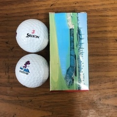 ☆値下げ☆O2310-1002 SRIXON HAWAII ゴル...