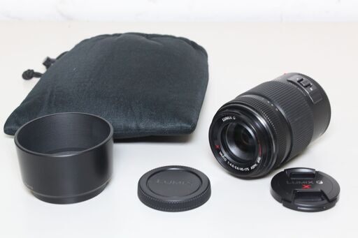 Panasonic/LUMIX G VARIO PZ 45-175mm F4.0-5.6 ASPH. POWER O.I.S./マイクロフォーサーズマウント/ズームレンズ ⑤