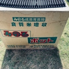 みのる　成苗育苗箱　448穴　20枚単位