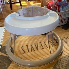 キレイです❣️歩行器🎈歩き初めに