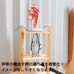響きが変わる❗️口腔機能UPリンパケアボイトレ🎤の画像
