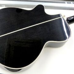 Takamine タカミネ PT-106-6 エレアコ ソフトケース付き 6連シングル