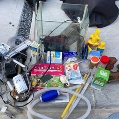 水槽　熱帯魚　金魚　