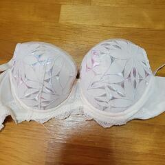 ワコールブラジャーの画像