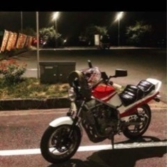 SUZUKI GF250の画像