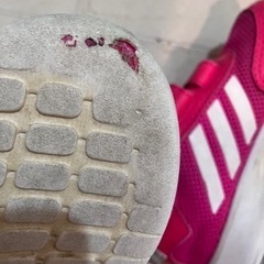 adidas スニーカー16センチ　女の子の画像