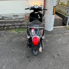 愛媛県松山市発❗️ ホンダ ジョルノ・スポルトの画像