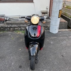 愛媛県松山市発❗️ ホンダ ジョルノ・スポルトの画像