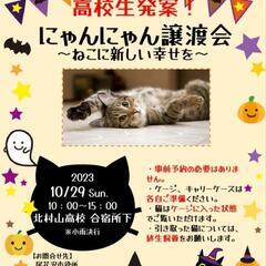 にゃんにゃん譲渡会〜ねこに新しい幸せを〜