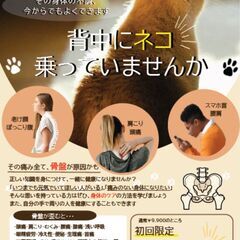 猫背や反り腰、ぽっこりお腹気になりませんか？