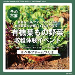 【11/1（水）～12/17（日）】ベルファーム有機農場産の新鮮...