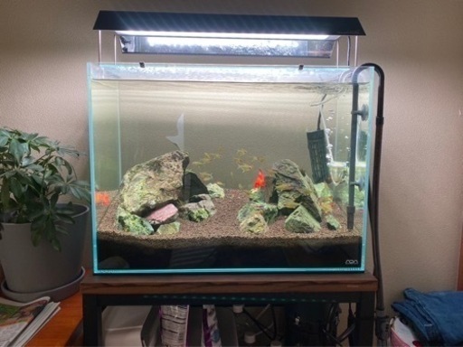 水槽セット　淡水で約一年使用