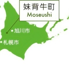 チョウのなかまの画像