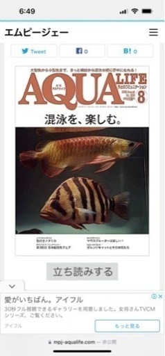 ダトニオプラスワン　③