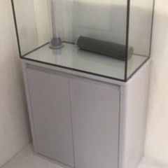 オーバーフロー 水槽 60 ポンプセット