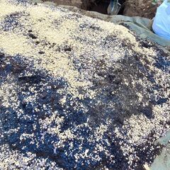 【資材】やぎん家の庭土（10L強）の画像